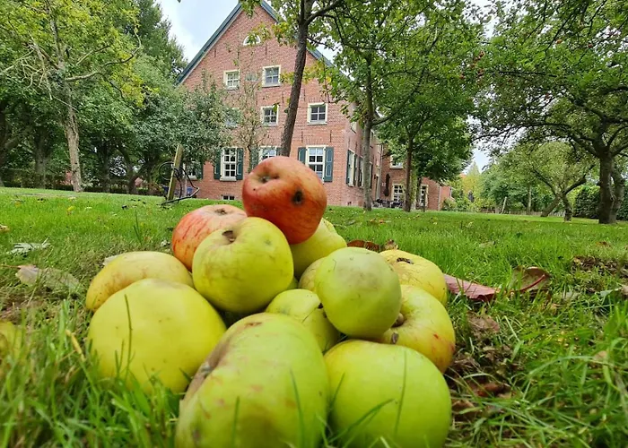 Lejlighed Gulfhof Boomgaarden 6 Lucas Upleward